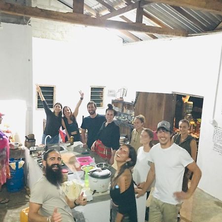 Tree House Hostel سيغيرِيا المظهر الخارجي الصورة