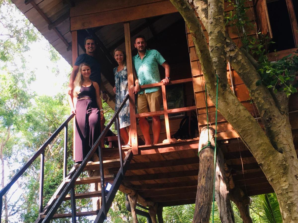 Tree House Hostel سيغيرِيا المظهر الخارجي الصورة