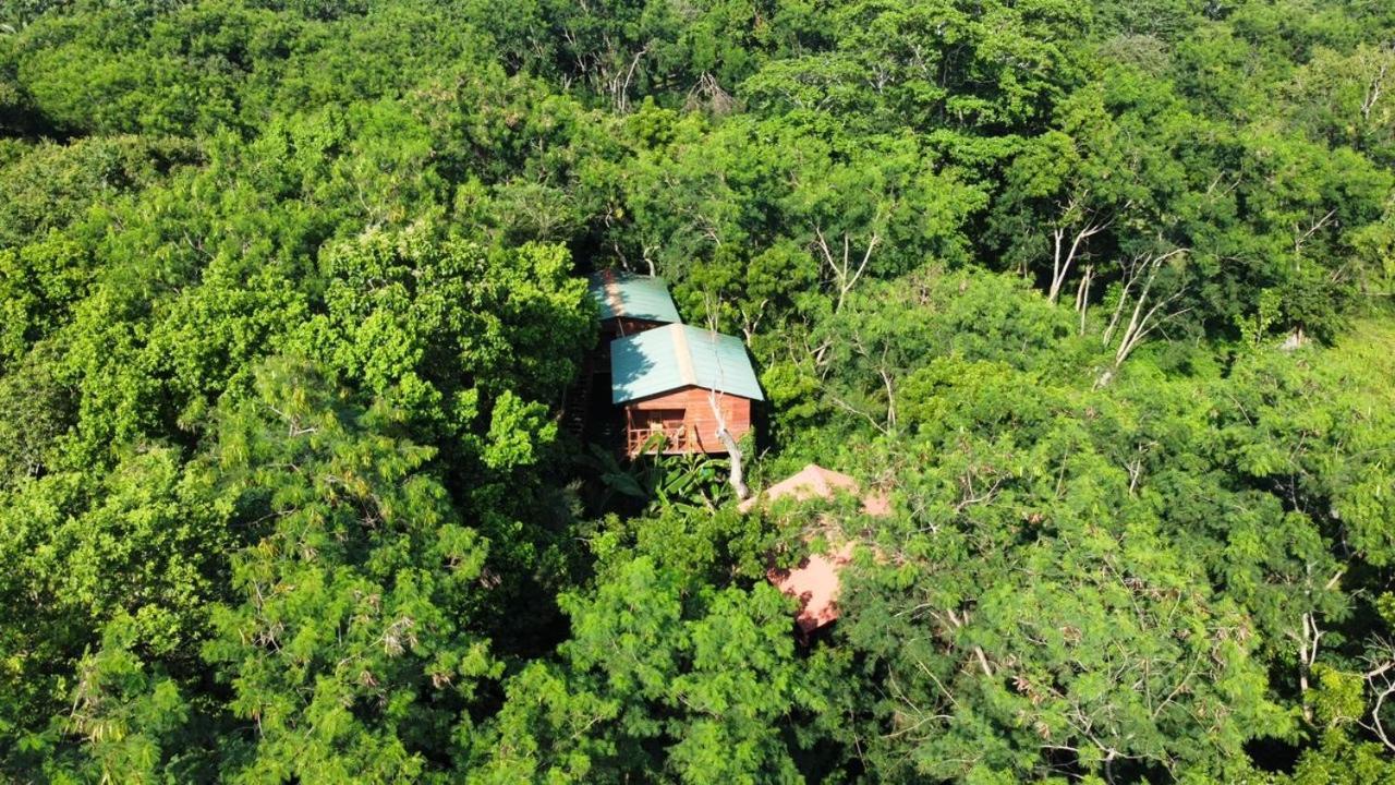 Tree House Hostel سيغيرِيا المظهر الخارجي الصورة