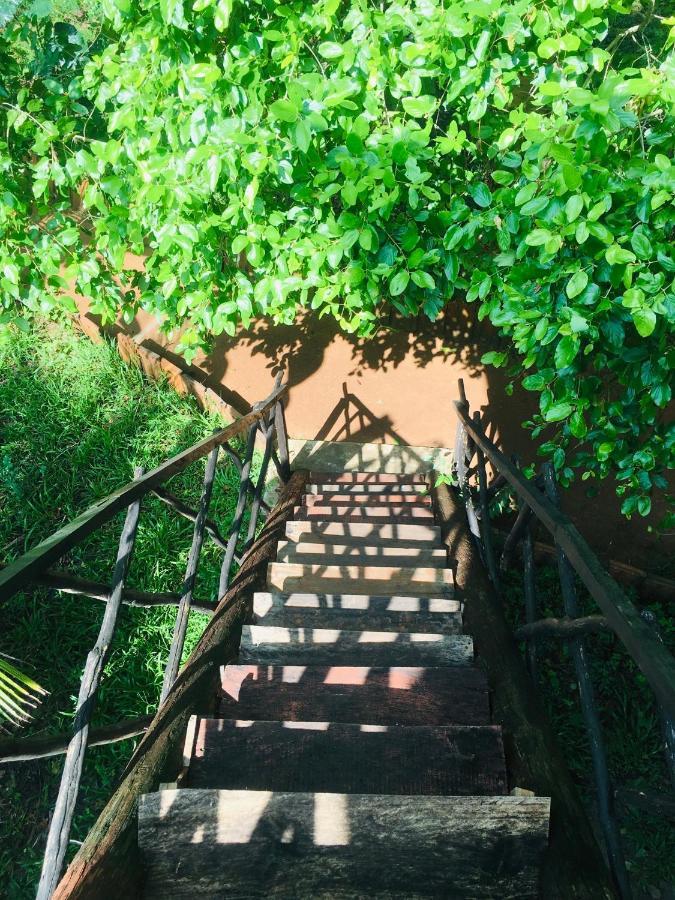 Tree House Hostel سيغيرِيا المظهر الخارجي الصورة