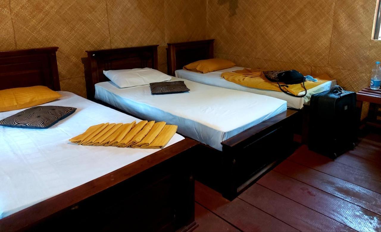 Tree House Hostel سيغيرِيا المظهر الخارجي الصورة