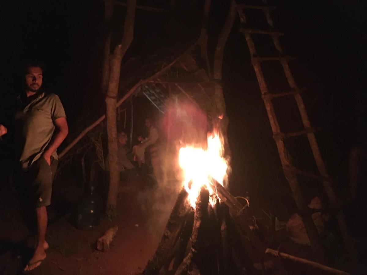 Tree House Hostel سيغيرِيا المظهر الخارجي الصورة