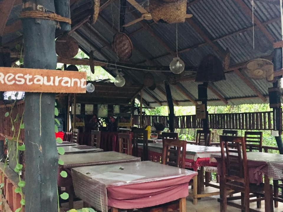 Tree House Hostel سيغيرِيا المظهر الخارجي الصورة