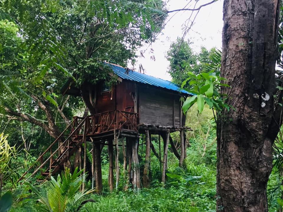 Tree House Hostel سيغيرِيا المظهر الخارجي الصورة